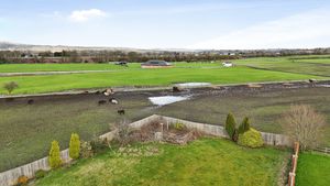 Adjacent field- click for photo gallery